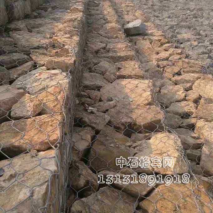 鍍高爾凡雷諾護墊